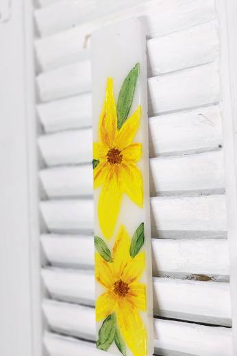 ΚΟΝΤΟΛΑΜΠΑΔΟ ΚΕΡΑΣΙΑ ΖΩΓΡΑΦΙΚΗ